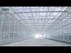 Bagian Bingkai Logam Kaca Rumah Kaca